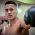 boxing streams